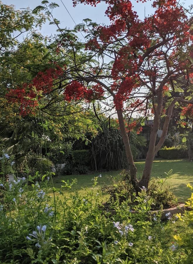 The Residence Villa Chobe Kasane Extérieur photo